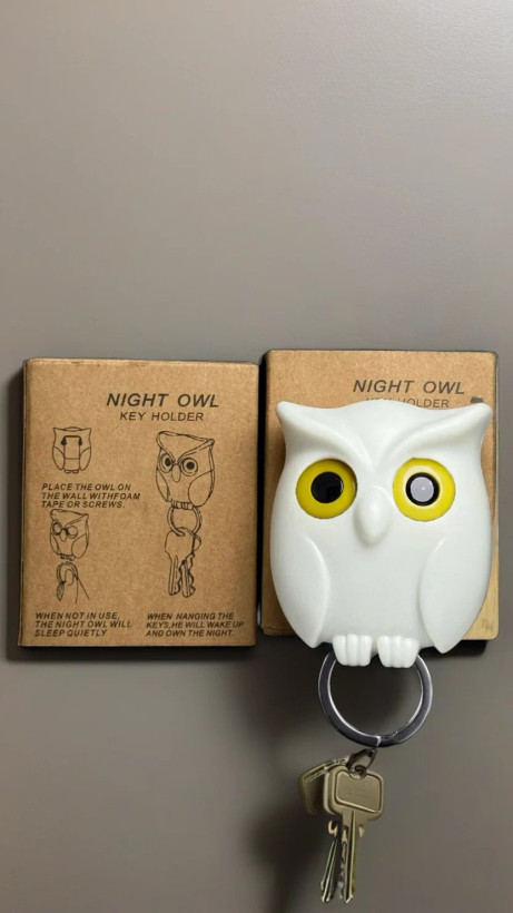 جاکلیدی جغدی مگنتی چشم متحرک | نگهدارنده کلید دیواری با آهنربای قوی